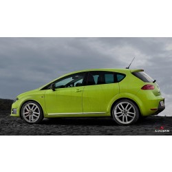 Nerez + ABS lišty dverí Seat Leon 1P