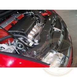 Honda Civic (06-10 3dv.Type R) Karbónový kryt motora