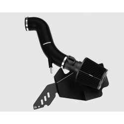 Ford Fiesta Mk6 / Mk7 1.6 ST 2013-2017 - Športový kit sania Proram